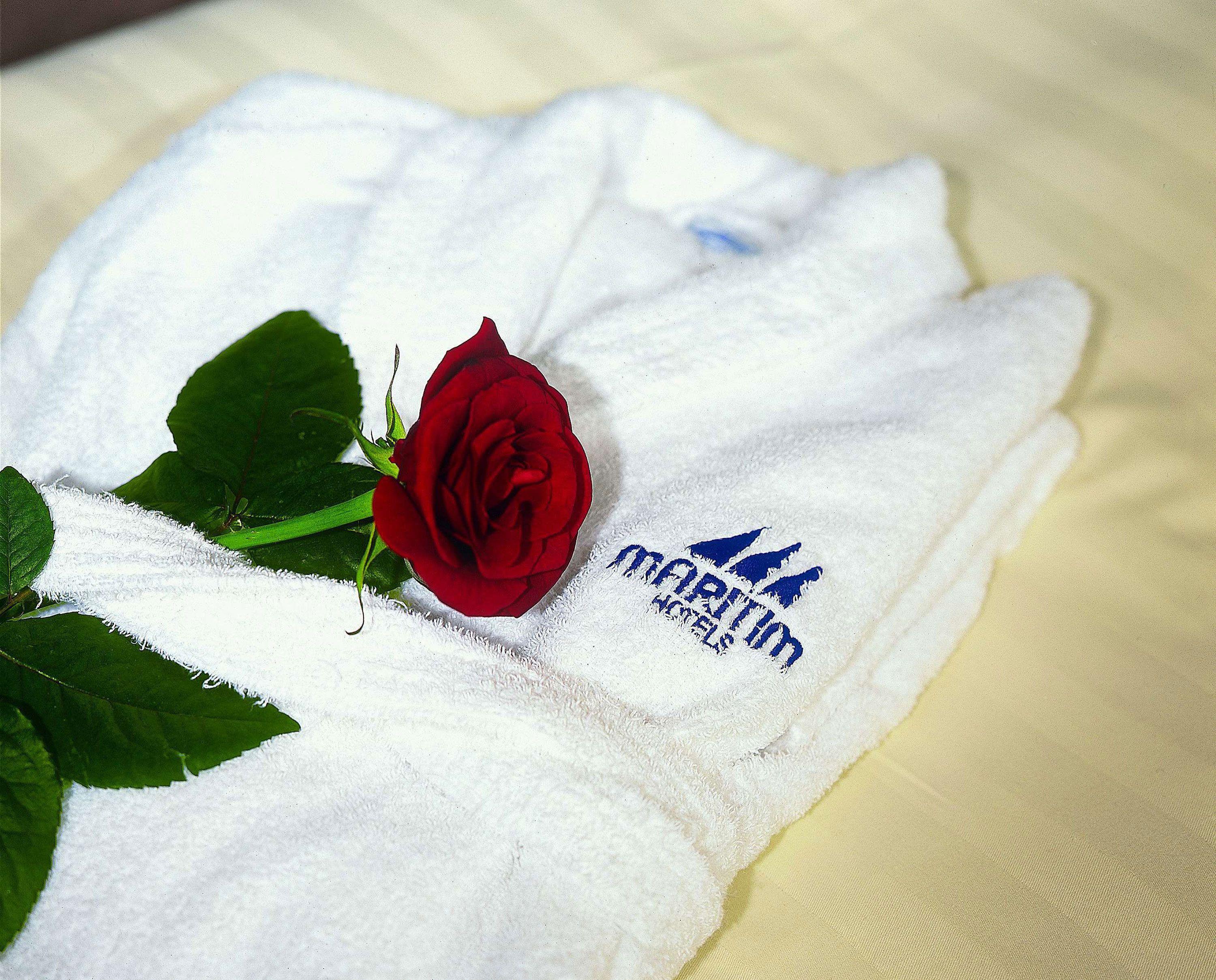 Maritim Hotel